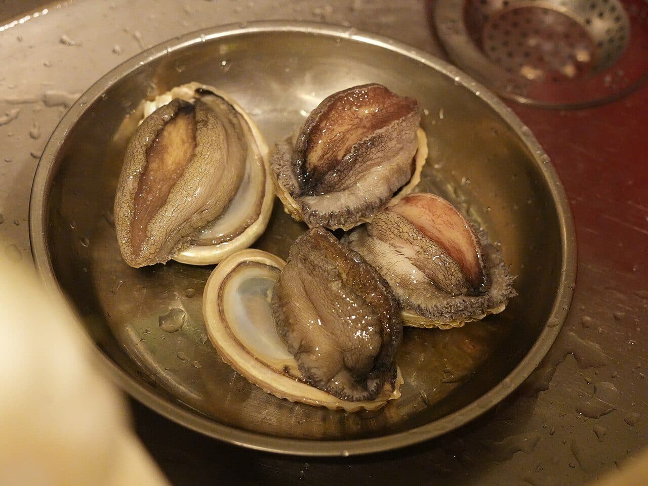 Abalone