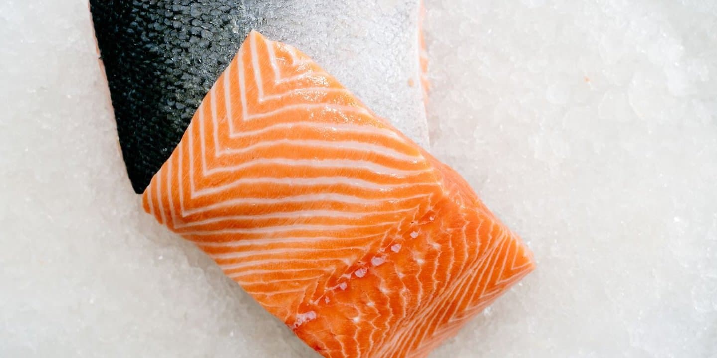 Salmon