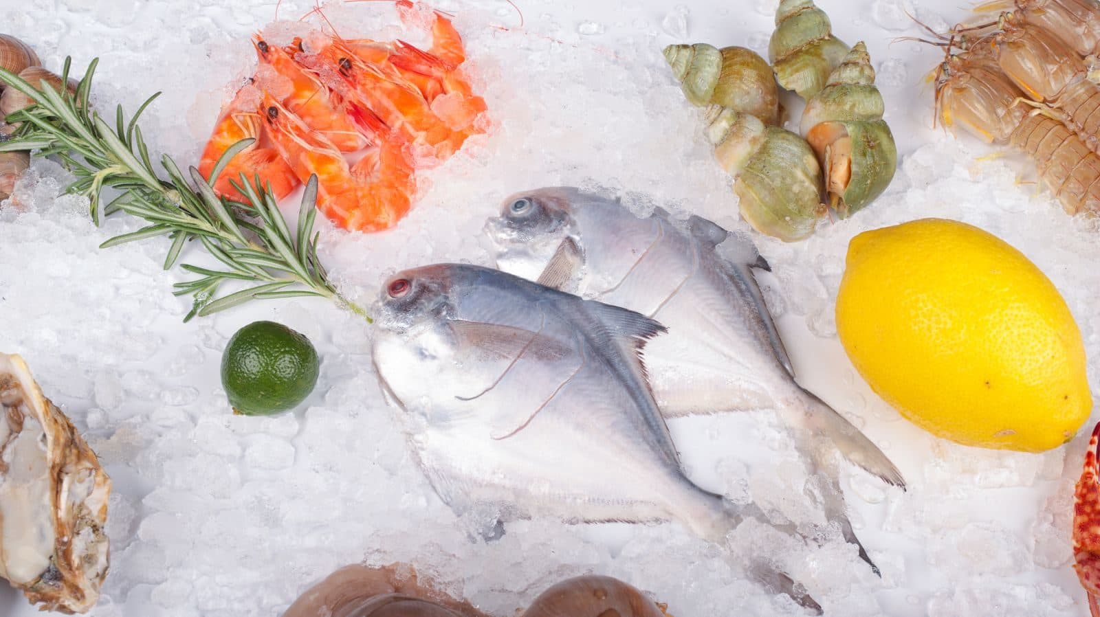 Fresh & Frozen Seafood
